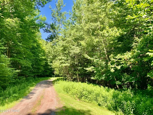 212C Dixon Valley Rd, Pleasant Mount, PA 18453