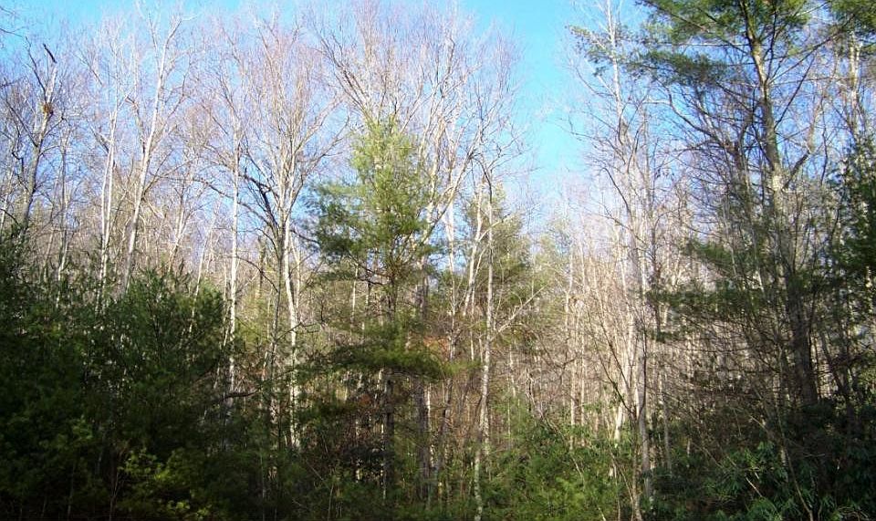 1st image of 000 Valley Creek Dr
