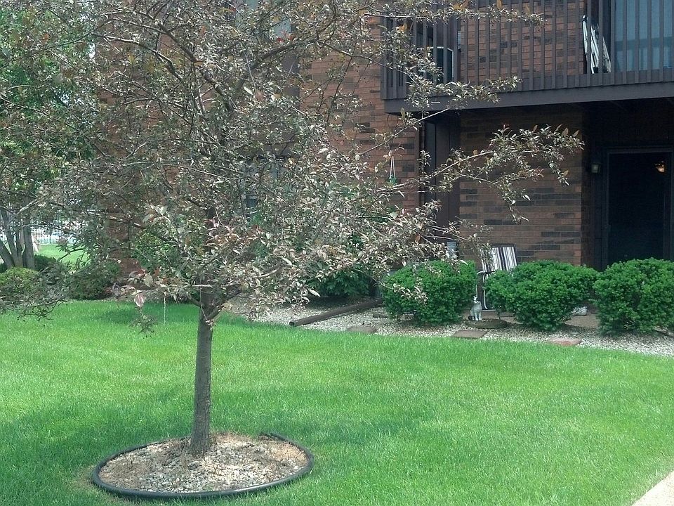 1st image of 2023 45th Street #104