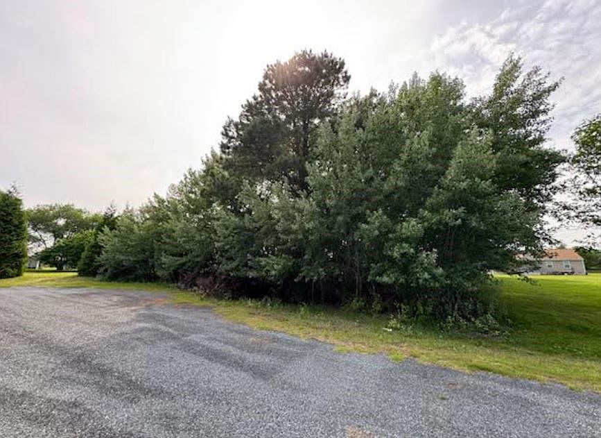 2nd image of 0 Octopus Rd #74