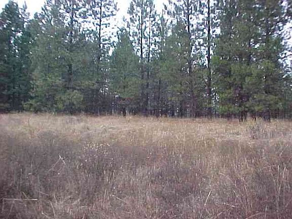 4th image of 0 Cummings Canyon Way