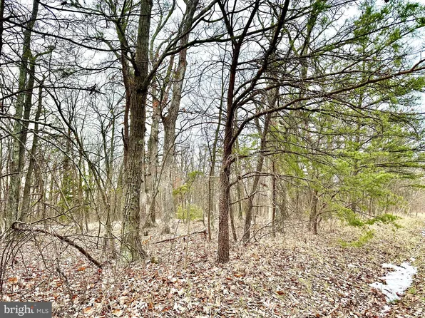 3 N Timber Ridge Rd, Cross Junction, VA 22625