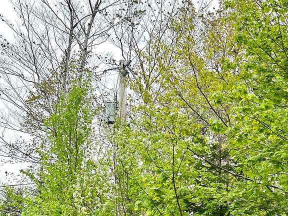 2nd image of Lot 14 Black Bear Drive