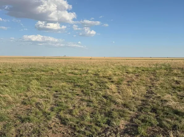 County Road 305, Panhandle, TX 79068