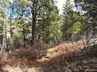 0 Bear Rd #1-LOT 11, Tierra Amarilla, NM 87575