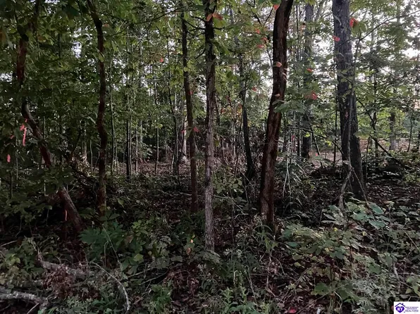 Rock Creek Rd, Leitchfield, KY 42754