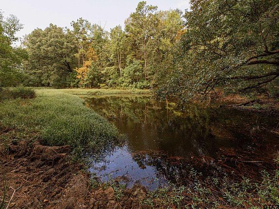 4th image of 0 County Road 4694