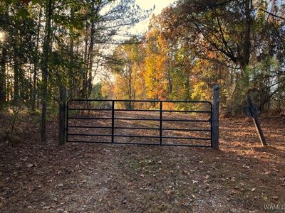 0 Martin Rd, Northport, AL, 35473