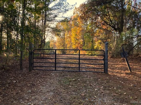 0 Martin Rd, Northport, AL 35473