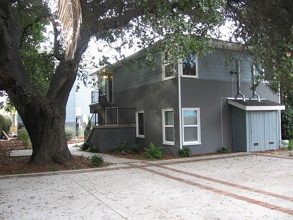 Under the 300 yr Oak