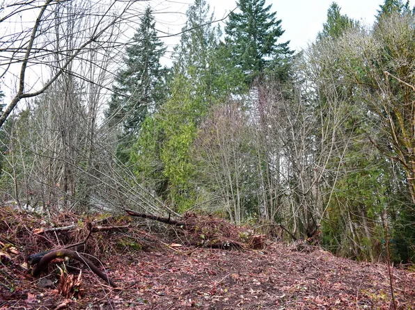 0 Connelle Ct, Clatskanie, OR 97016