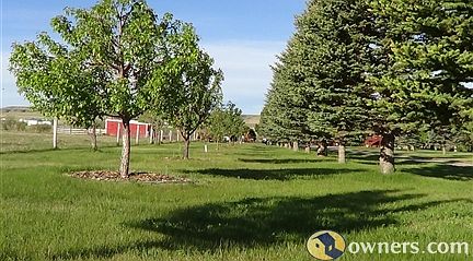 Orchard