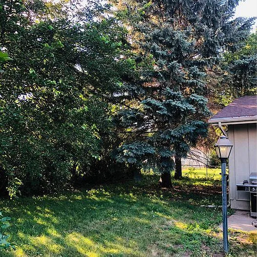 4101 S Downing Ave — Photo 17