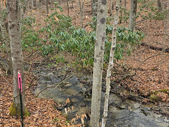 5th image of 0 Stanadord Rd Tract 3