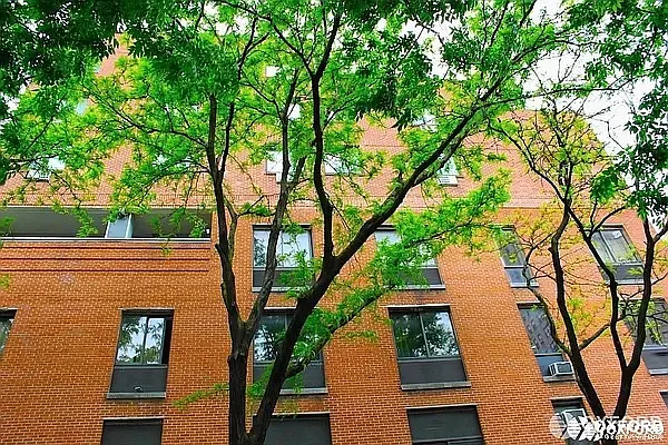 Rented by Oxford Property Group | media 61