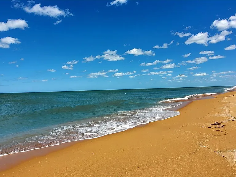 6 Sea Dunes Ter — Photo 41