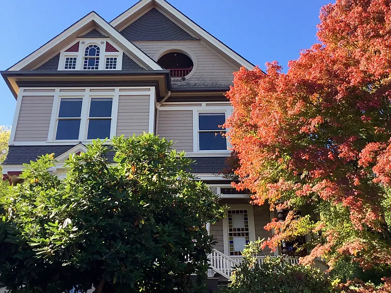 Lovely in fall too
