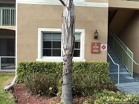 1st image of 3794 NW Mediterranean Ln