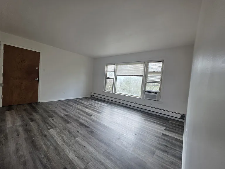 501 E 87th St #2N — Photo 4