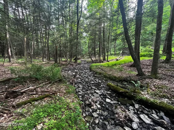 0 S Eagle Valley Rd, Pt Matilda, PA 16870