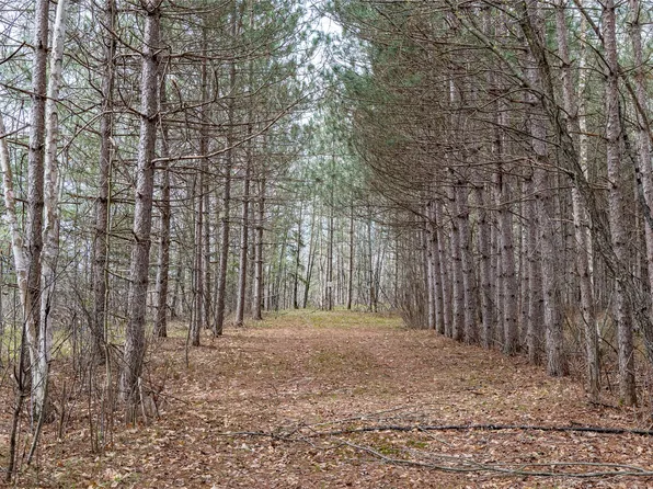 40 Acres Adams & Jones Road, Bruce, WI 54819