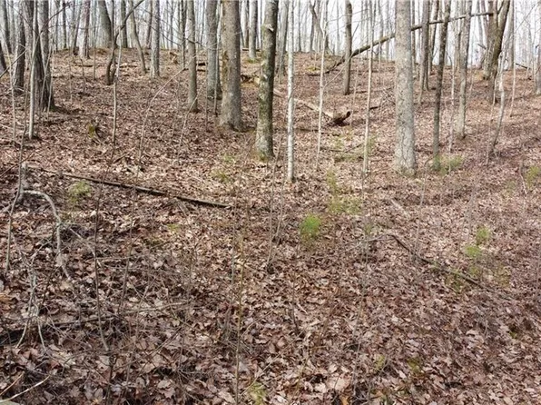 1110 Mayfield Ln NE #1110, Ranger, GA 30734