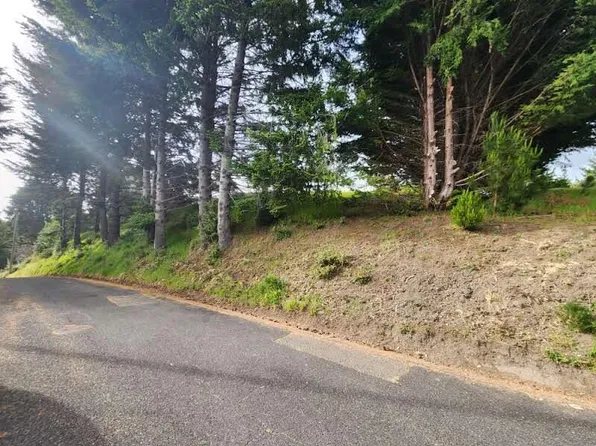 65 Eileen Rd, Whitethorn, CA 95589