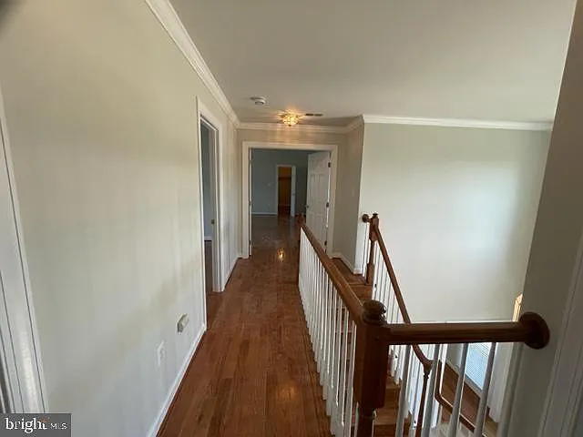 10804 Maplecrest Ln — Photo 32