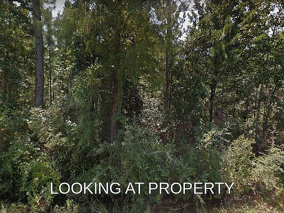 4th image of Sea Breeze Ln