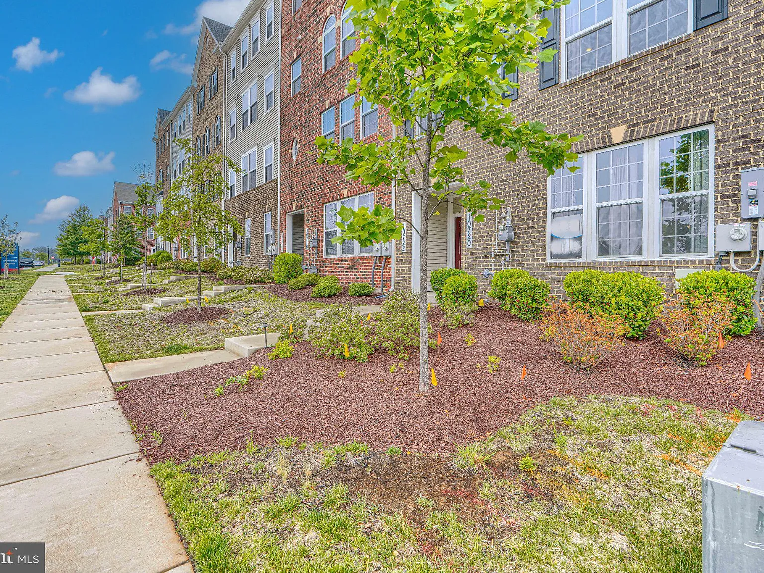 3 bed, 2.5 bath, 1790 sqft, $3,100 — Photo 3