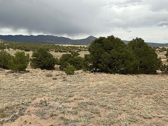 2nd image of Highway 69 Lot 23