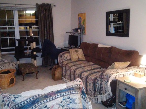 living room is large with lakeview