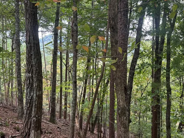 LOT A28 Laurel Ridge Dr, Ellijay, GA 30536