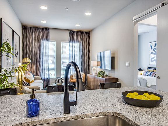 Elegant Kitchen Fixtures
