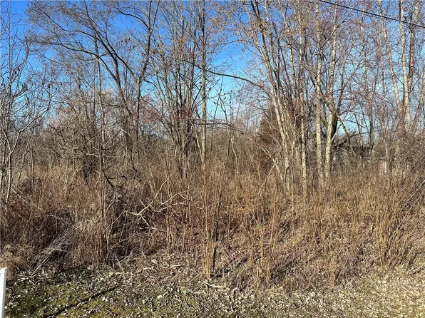 0 Vandorn Ave, Mount Morris, NY 14510