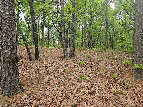 5th image of W Middle Mountain Rd