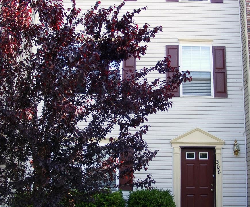 1st image of 306 Regina Ln