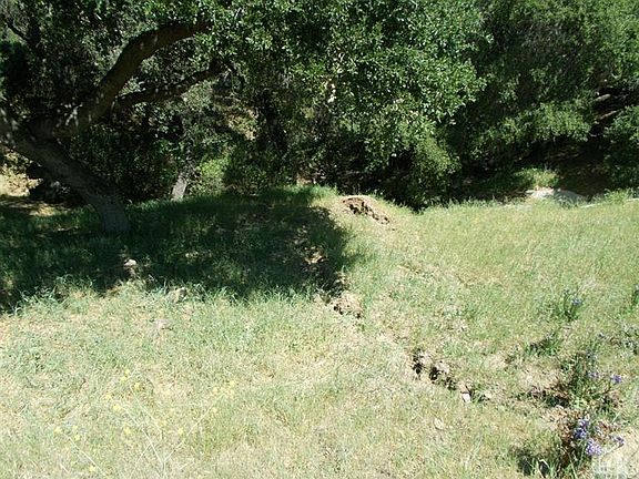 5th image of Rudolph Ln