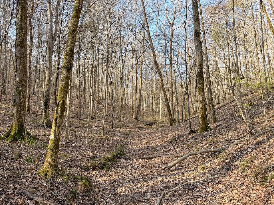 25th image of this home