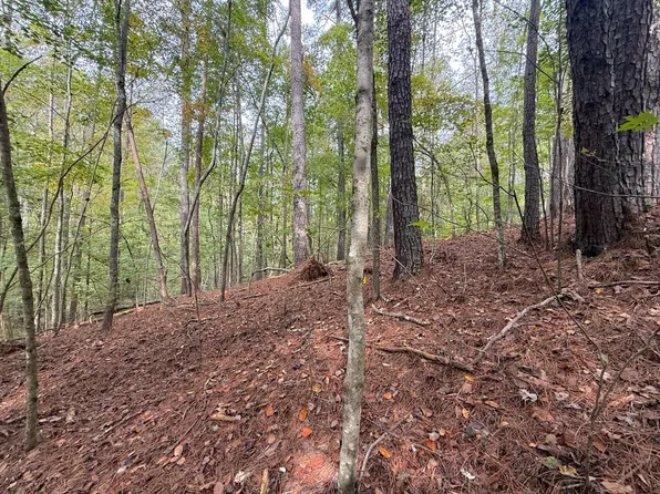 136 Guidon Ct, Ellijay, GA 30540