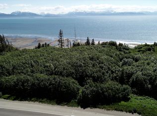825 Sterling Hwy, Homer, AK 99603