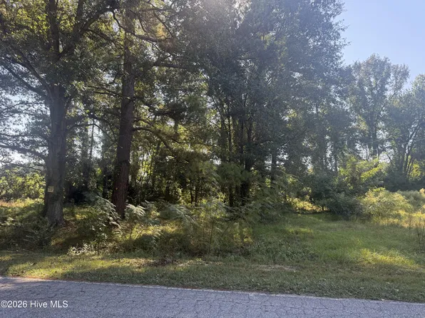 102 Brooklyn Avenue, Harrells, NC 28444