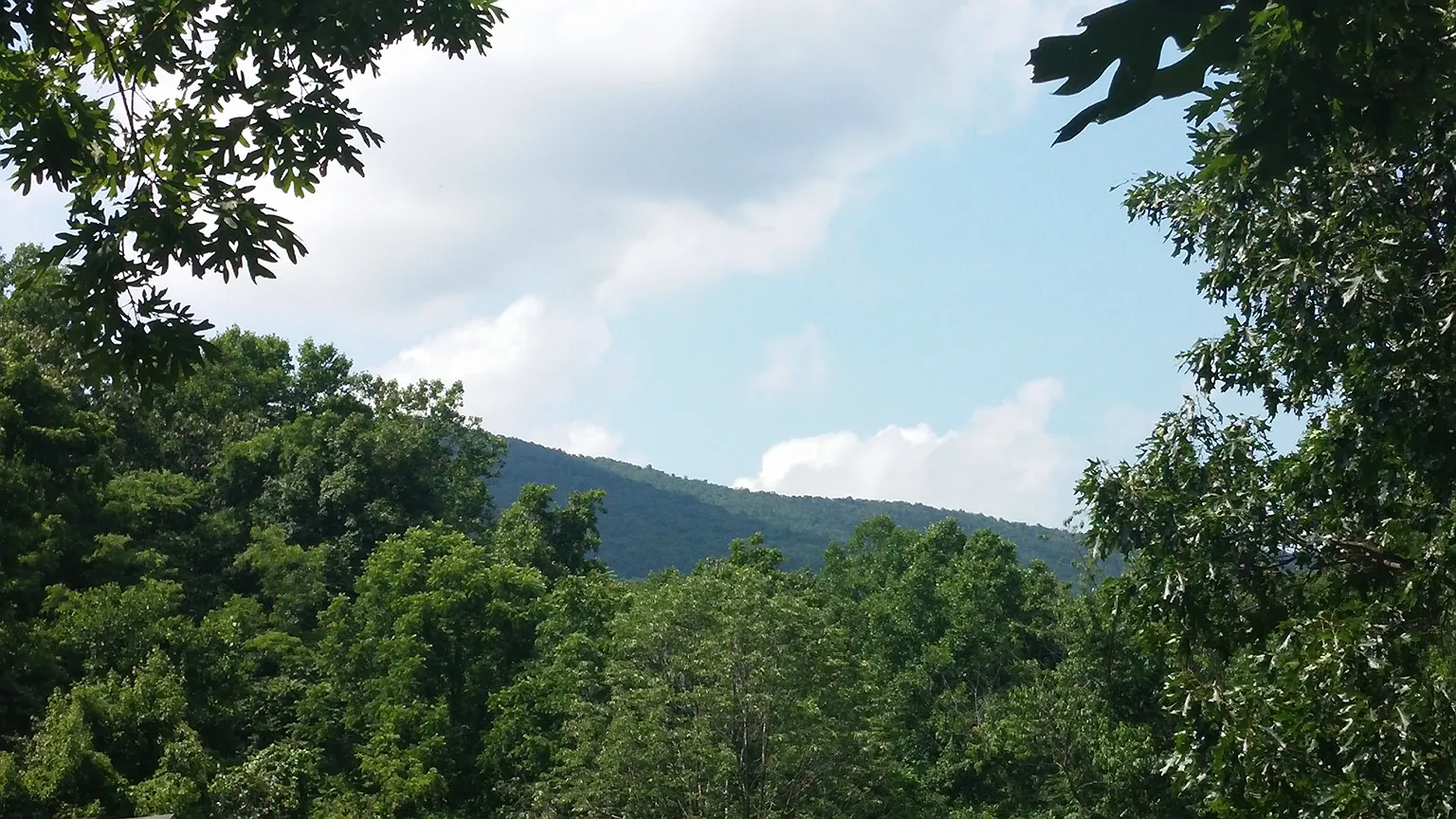 99 Hemlock Trl photo 1