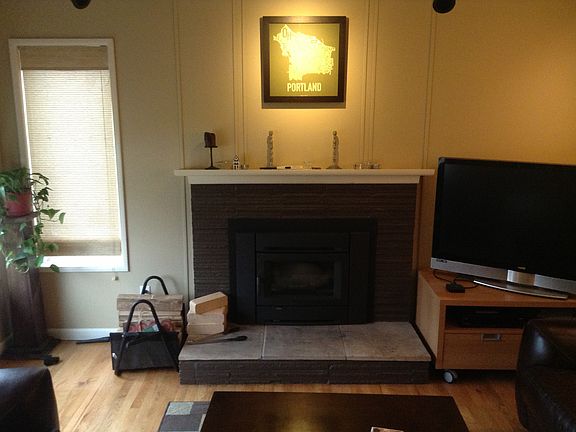 New Fireplace Insert