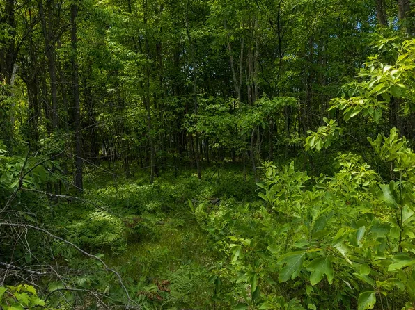 S Mill Iron Rd, Muskegon, MI 49442
