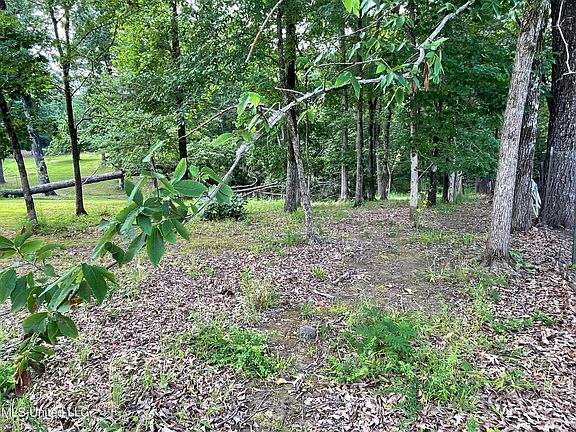 4th image of 23 Sardis Lake Dr