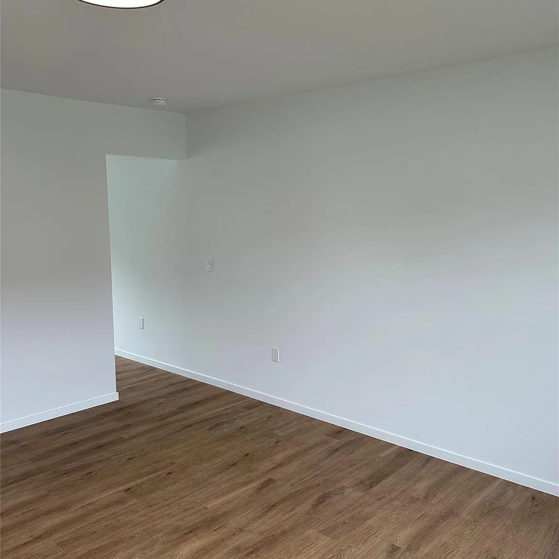 2 bed, 1.0 bath, $3,200 — Photo 2