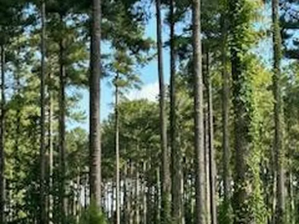 96-278 Dawson Creek Blvd #96, Oriental, NC 28571