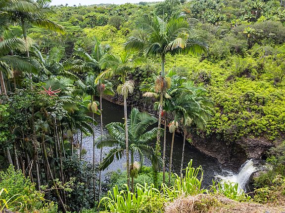 5th image of 27-2797 Hawaii Belt Rd