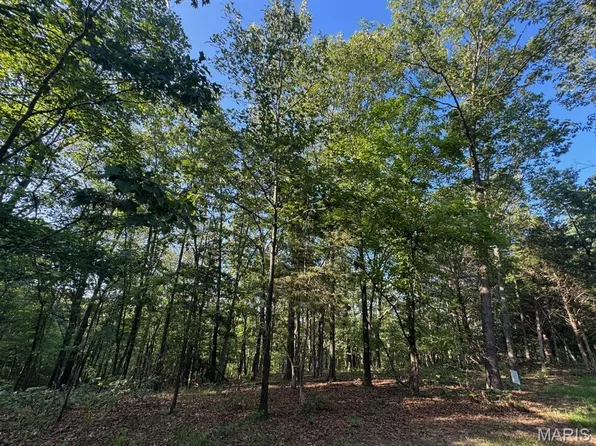 160 Steeple Point Dr Lot 9, Defiance, MO 63341